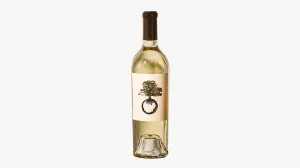 Annulus Cellars 2024 Sauvignon Blanc Oakville