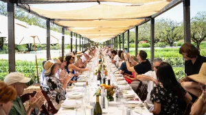 Expérience œnologique et gastronomique à Healdsburg