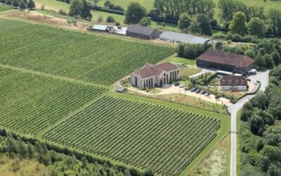 Exton Park entame un « prochain chapitre » en nommant un nouveau PDG et président