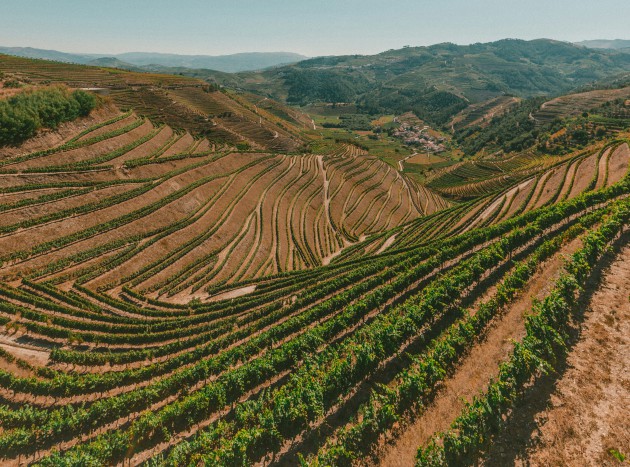 L'IWSC annonce que le Portugal accueillera le Global Wine Judging