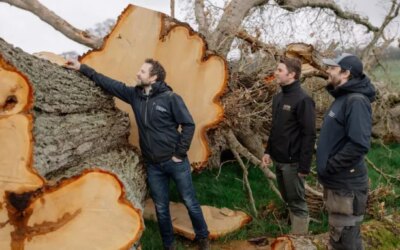 Ce whisky irlandais est vieilli dans des fûts fabriqués à partir d'un chêne vieux de 1 000 ans