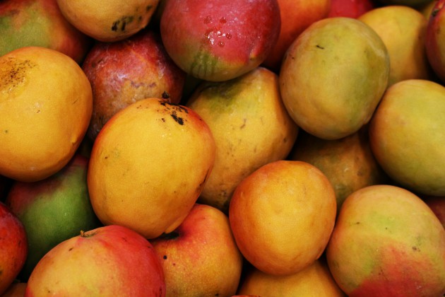 Des scientifiques découvrent une source d'arômes « tropicaux » de whisky de malt