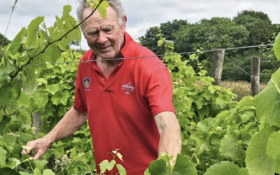 Lecture du vendredi : Nourrir le vin irlandais