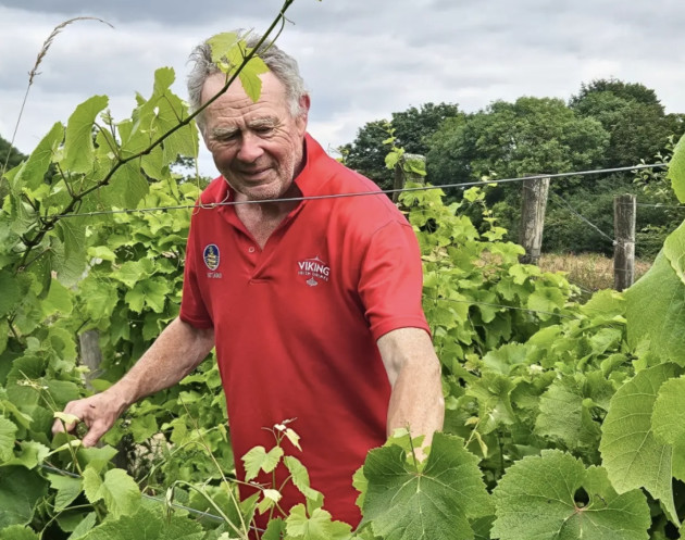 Lecture du vendredi : Nourrir le vin irlandais