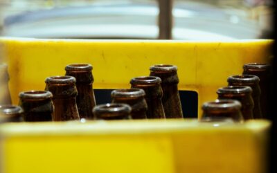 « Manque choquant de détails » : SIBA insiste pour que le DRS soit retardé