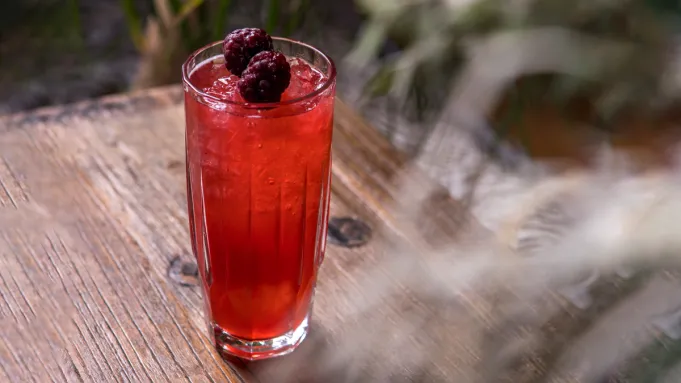 Comment préparer un Blackberry Buck, le cocktail rafraîchissant au bourbon avec un côté savoureux