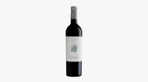Wölffer Caya Cabernet Franc 2021 Long Island