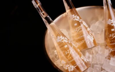 Cygnet a introduit son gin sans alcool ultra-premium aux États-Unis