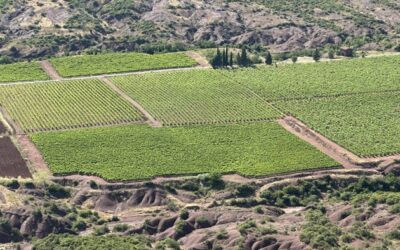 Languedoc : le programme Fresh vise à réduire les risques d'odeur de fumée