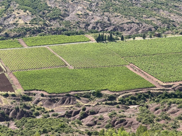 Languedoc : le programme Fresh vise à réduire les risques d'odeur de fumée