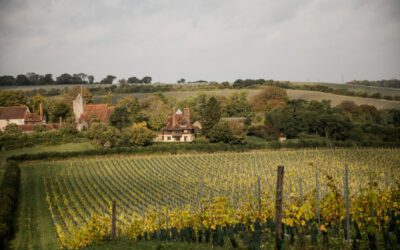 Le producteur de vin britannique MDCV obtient la certification B Corp