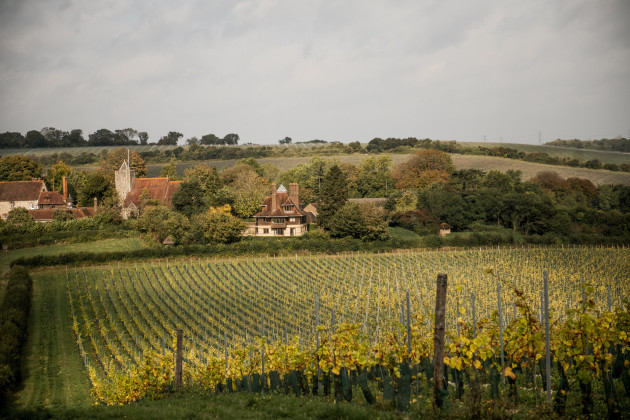 Le producteur de vin britannique MDCV obtient la certification B Corp