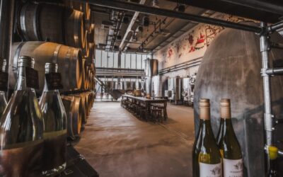 Les premières vendanges commencent à arriver à la cave Canada Water de Vagabond