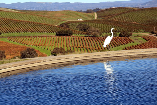 Napa Valley Vintners : une nouvelle campagne vise à répondre à l'évolution de la consommation