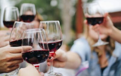 Vinarchy lance le plan de croissance Vintelligence