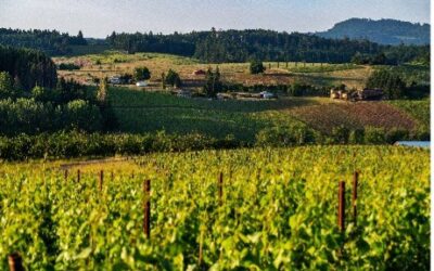 Washington et l’Oregon s’associent pour assurer la représentation commerciale et médiatique du Royaume-Uni