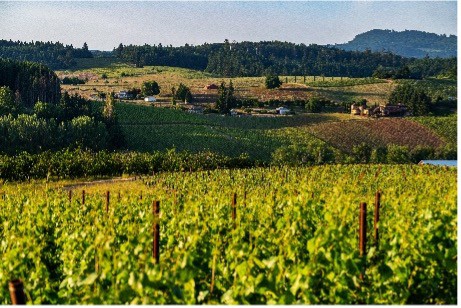 Washington et l’Oregon s’associent pour assurer la représentation commerciale et médiatique du Royaume-Uni
