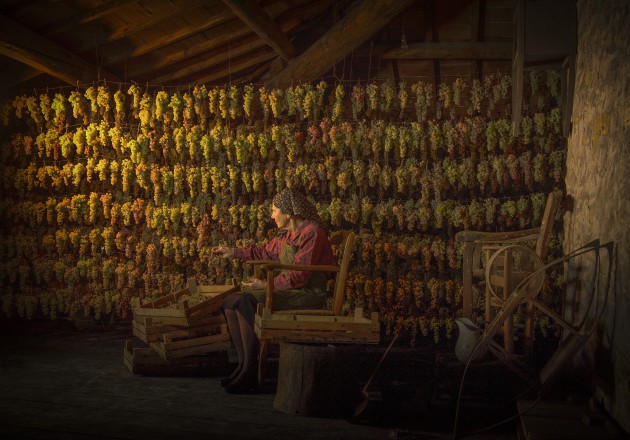 Winetraders ajoute dix nouveaux producteurs artisanaux italiens à son portefeuille