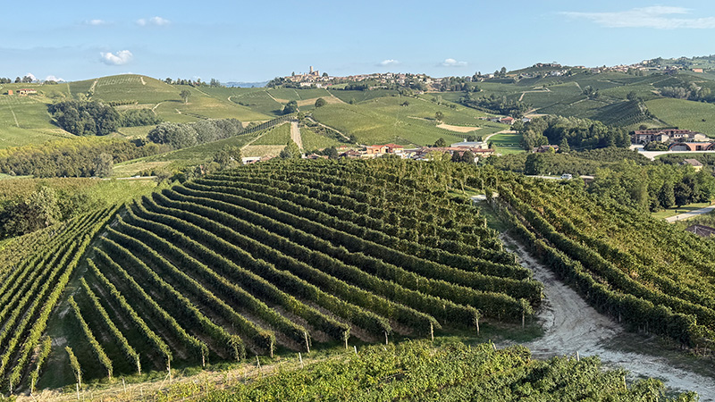 Voici 12 des meilleurs barolos du Piémont italien.