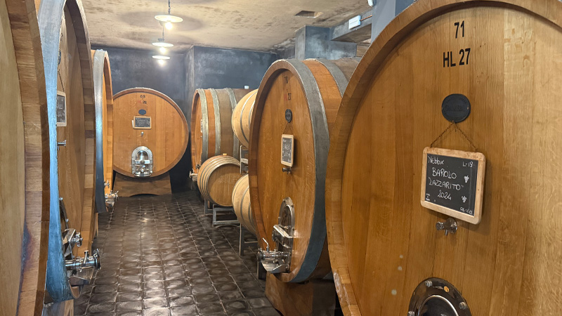 Voici 12 des meilleurs barolos du Piémont italien.