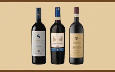 7 vins rouges toscans exceptionnels à boire dès maintenant