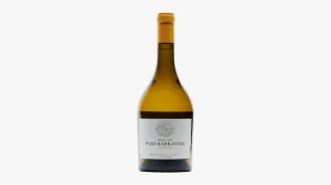 Pazo de Barrantes 2022 Gran Vino Albariño