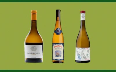 7 Albariños corsés qui sont des vins blancs idéaux à boire cet automne