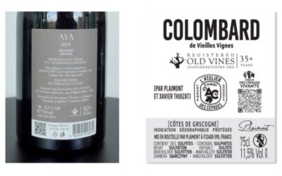 Cachet d'approbation : Old Vine Registry lance un sceau pour l'étiquetage du vin