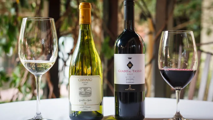 Des voleurs ont volé plus de 5 millions de dollars de vin dans le vignoble de Marchesi Antinori en Italie