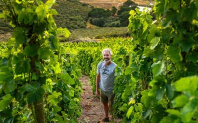 Duncan Savage transfère la distribution au Royaume-Uni à Liberty Wines