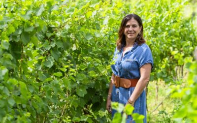 Le Domaine Bousquet lance le tout premier vin orange