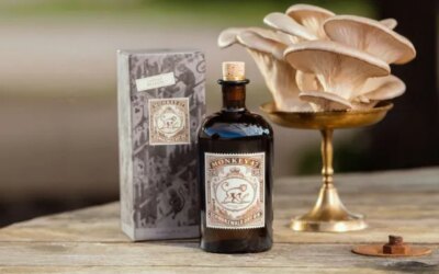 Le dernier gin Distiller's Cut de Monkey 47 est infusé de pleurotes