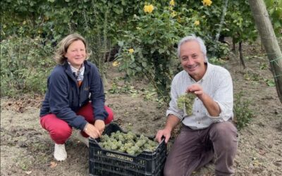 Liberty renforce son offre dans le sud de l'Italie