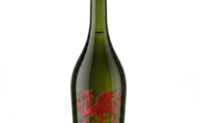 Un vignoble gallois s'apprête à produire le premier vin de la méthode Charmat du pays pionnier