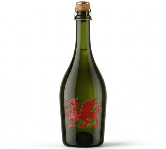 Un vignoble gallois s'apprête à produire le premier vin de la méthode Charmat du pays pionnier