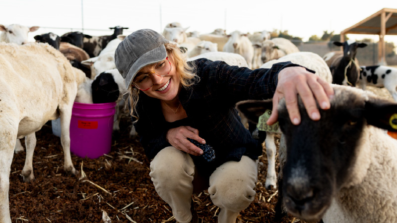 Avec l'agriculture biologique et des pratiques de vinification durables, Alice Anderson a construit la cave de ses rêves pastoraux.