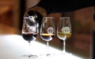 Vingt producteurs de Porto exposent à l'occasion du retour des dégustations organisées par l'IVDP
