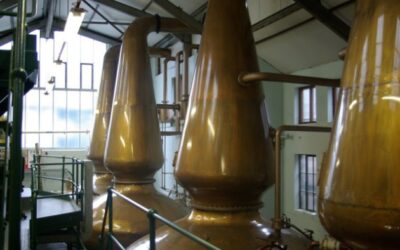 Whisky : des recherches révèlent qu'une fermentation plus forte pourrait réduire les émissions de 16 %